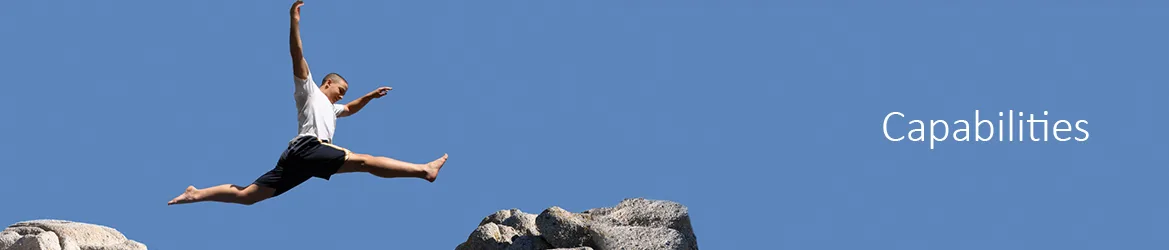 Capabilities - Oracle International Oracle International Capabilities Background